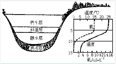 工業循環水處理